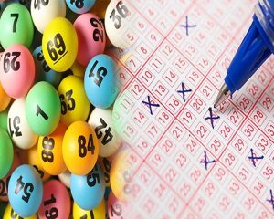 Con vật và số đề có mối quan hệ mật thiết với nhau