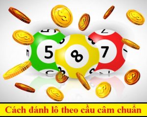 Hướng dẫn cách đánh lô theo cầu câm chuẩn không cần chỉnh